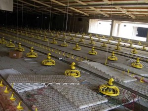 今年秋冬高發(fā)疾病概述及防控措施